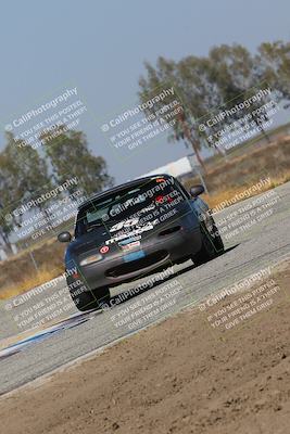 media/Oct-14-2023-CalClub SCCA (Sat) [[0628d965ec]]/Group 4/Qualifying/